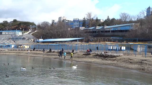 Анапа 2021. Дельфины в Черном море купание в ледяной воде смотреть онлайн