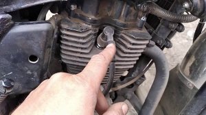 итоги двух лет эксплуатации рейсер турист.