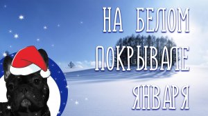 НА БЕЛОМ ПОКРЫВАЛЕ ЯНВАРЯ / Разбор на гармони по цифрам