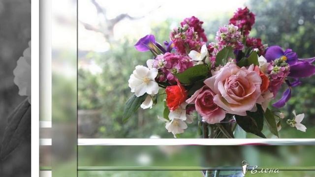 Прекрасные цветы на фото  *