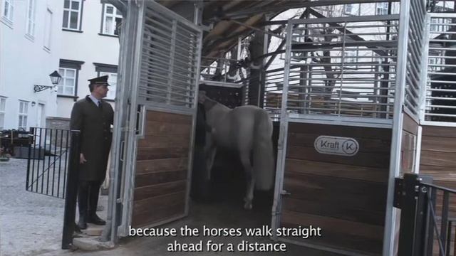 Video Spanische Hofreitschule