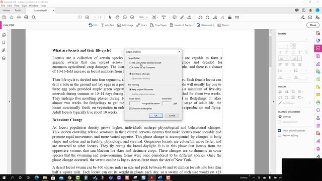 How to add header and footer in multiple pdf file | Adobe Acrobat tutorial in Hindi смотреть онлайн
