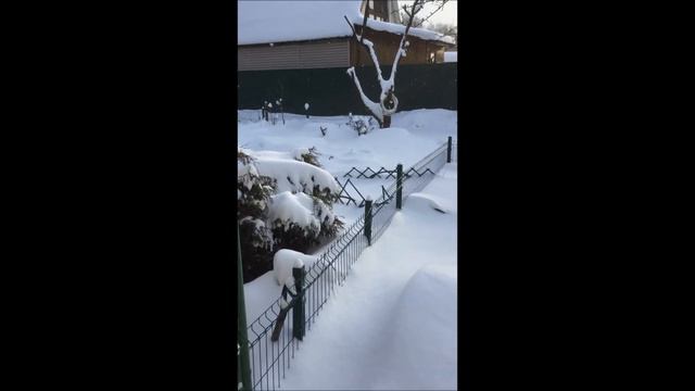 Деревня 21 12 2021 смотреть онлайн