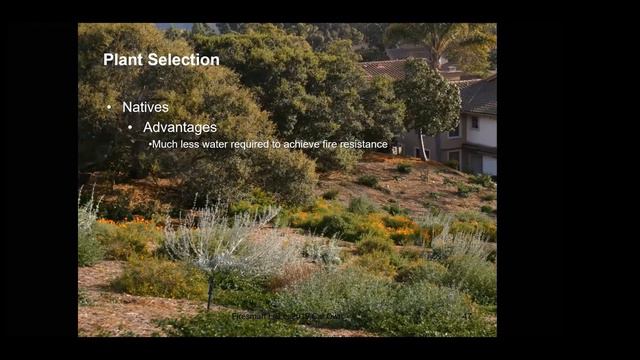 Using Native Plants for Fire Resistant Landscapes смотреть онлайн