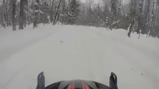 Rip смотреть онлайн