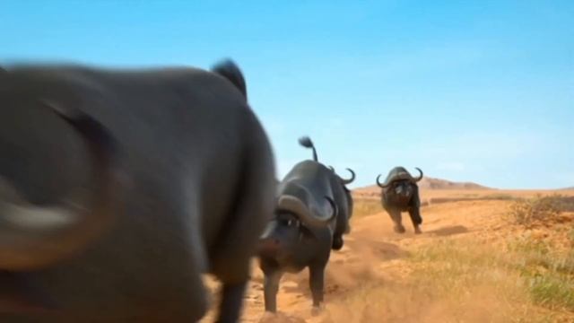 Диностер  ДОБРО ПОЖАЛОВАТЬ В ДИНО-МИР часть первая