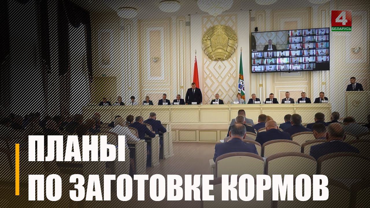 В Гомельском облисполкоме обсудили ход заготовки кормов для нужд общественного животноводства смотреть онлайн