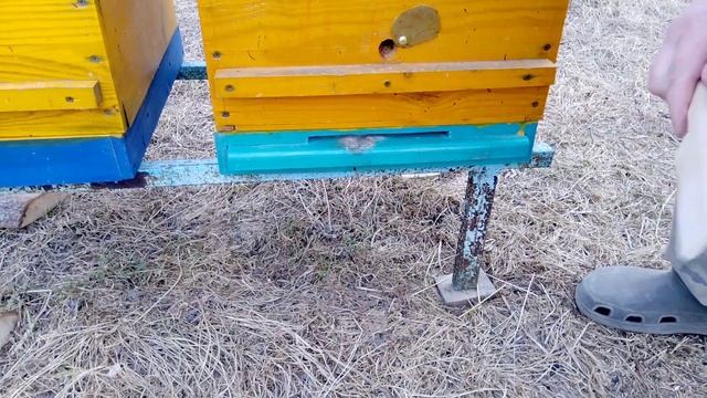 Удобный Летковый вкладыш для ульев. смотреть онлайн