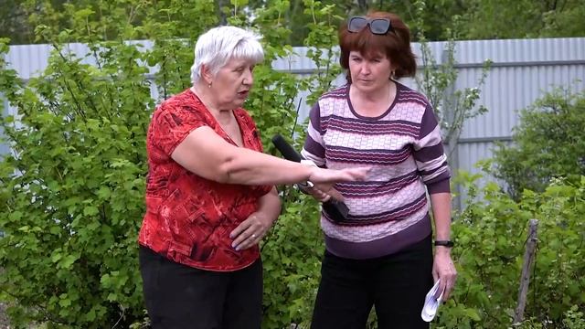 Советы Галины Русецкой. Клубника или земляника? смотреть онлайн