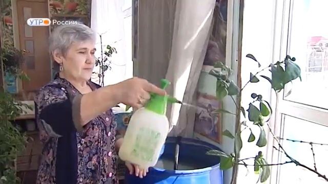 Зимний сад смотреть онлайн