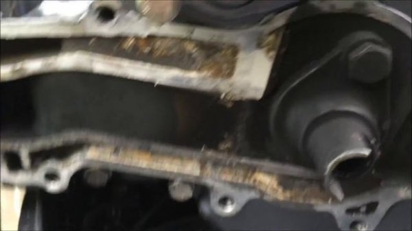 Sea Pro f5S new. очередное обслуживание.