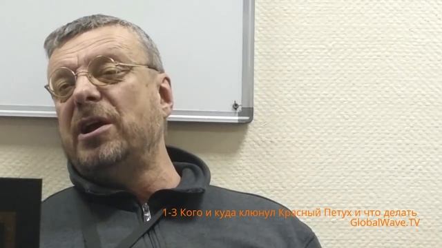 1-3 Кого и куда клюнул Красный Петух и что делать? - Девятов - Небо-Политика- ГВ смотреть онлайн