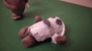 Сказка про какашку.