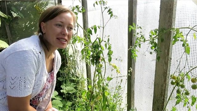 5 МИФОВ в саду и огороде! смотреть онлайн