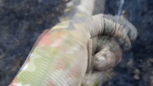 #Коп 2021 с #Etrаc и #Equinox800 выход на старые места оказался результативным. смотреть онлайн