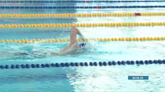 Веселый Дельфин 2017 смотреть онлайн