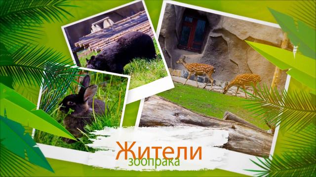 Ижевский зоопарк смотреть онлайн