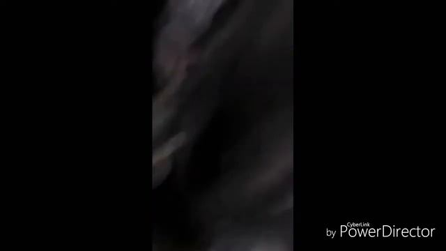 Новый год. /Очень, очень поздно выложила.