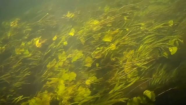 Путешествие в Рязанскую глубинку. Часть 2. Сплав по Ранове смотреть онлайн