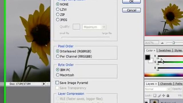 Save an Image as a TIFF File in Photoshop CS3 смотреть онлайн