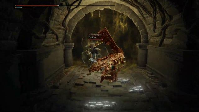 SUB BUILD HEAVY ROLLS AND HELPS! (Elden Ring) Helping Players With Malenia, Sunbro, Let Me Solo Her смотреть онлайн