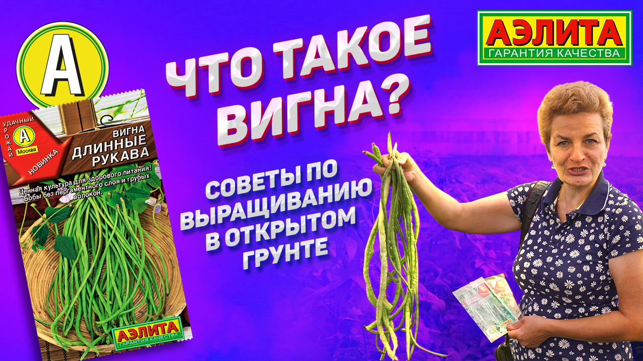 ВИГНА - ценная культура для здорового питания. Какие сорта выбрать? смотреть онлайн
