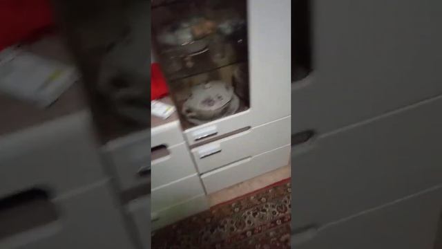 свобода выбора смотреть онлайн