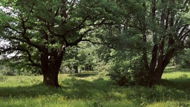 Ты песнь не спетая моя.#Душевнаяпесня#красиваяприрода#роднаясторона#