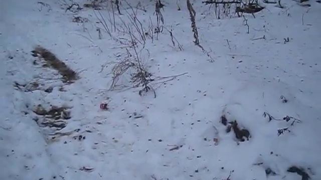 Тестирование корсар 5. смотреть онлайн