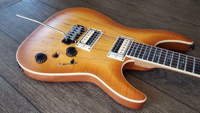 The BEAUTIFUL SCHECTER C-1 Exotic! - Amazing Guitar at a Fantastic Price! смотреть онлайн
