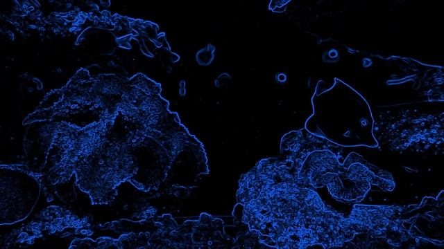 Relaxing Animation of Fish - Black background with fish silhouettes - live sketch смотреть онлайн