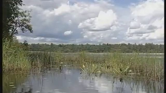 Пресный водоем Пресные водоемы и особенности жизни в них смотреть онлайн