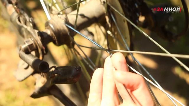 Берег обреченных деревьев - на велосипедах до р. Клязьма / Велоклуб КРУТИ! смотреть онлайн