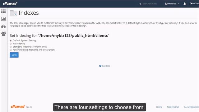 cPanel Index смотреть онлайн