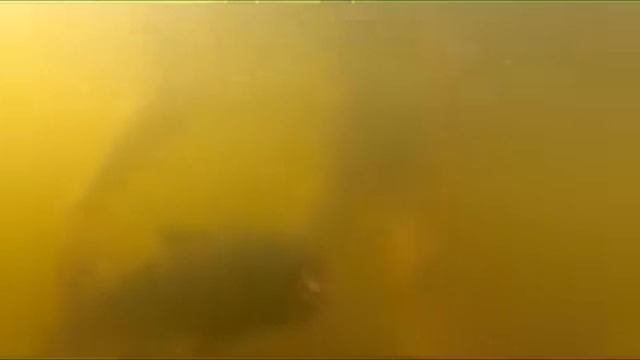 New экшн камер GoPro hero 2 съемка под водой смотреть онлайн
