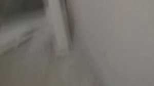 Что такое ГВЛ и чем он отличается от  гипсокартона (ГКЛ) #ГВЛ