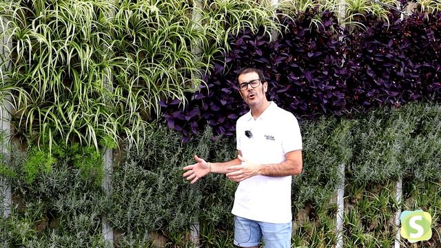 La lavanda para jardines de exterior смотреть онлайн