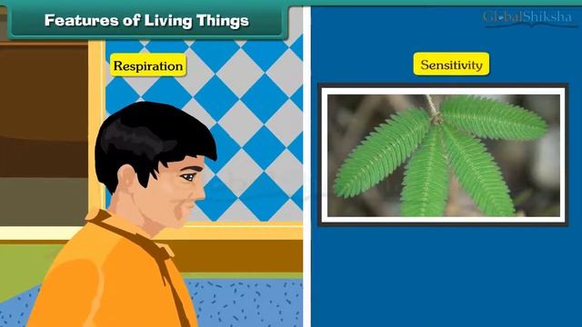 Class 1 EVS - Living and Non-living Things For Kids | CBSE Board смотреть онлайн
