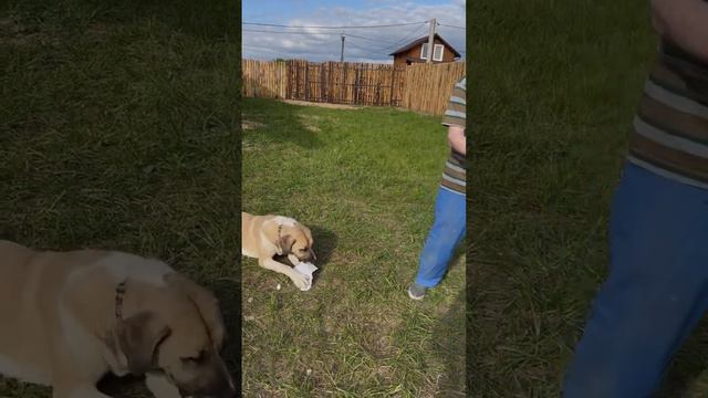 Это мой дом🌈 смотреть онлайн