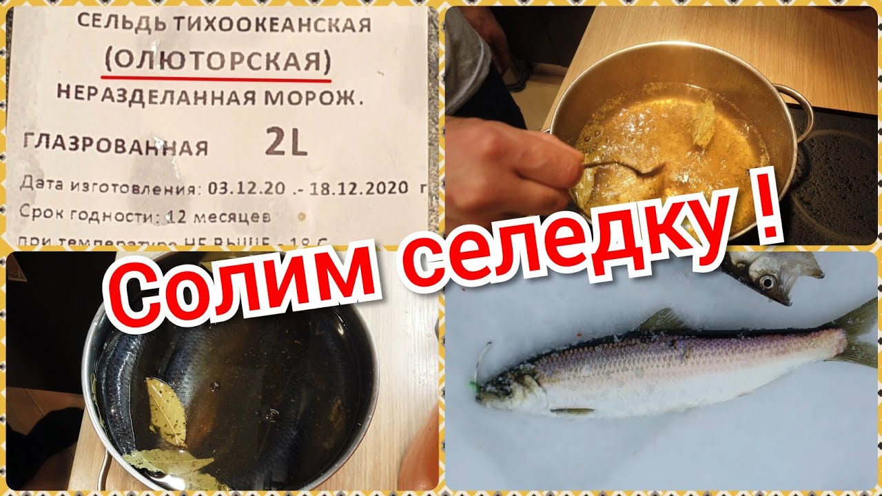 Как солить селедку ? Камчатский рецепт ! смотреть онлайн