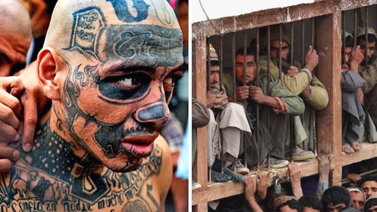 9 Страшных Тюрем, Куда Даже Отбитые Преступники Боятся Попасть смотреть онлайн