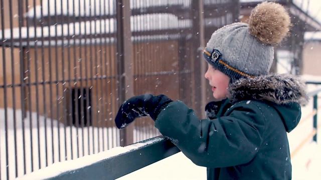 Влог 5 Парк зверей 