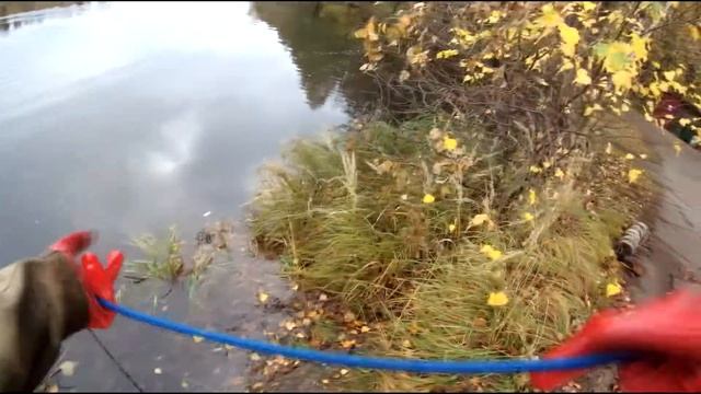 ЕЛЕ ВЫТАЩИЛИ НА 2 ПОИСКОВЫХ МАГНИТА смотреть онлайн