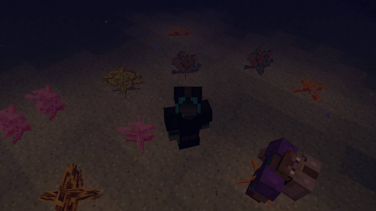 Тропические Приключения! К морю! COOP №5