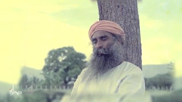 Sadhguru's Enlightenment In His Own Words смотреть онлайн