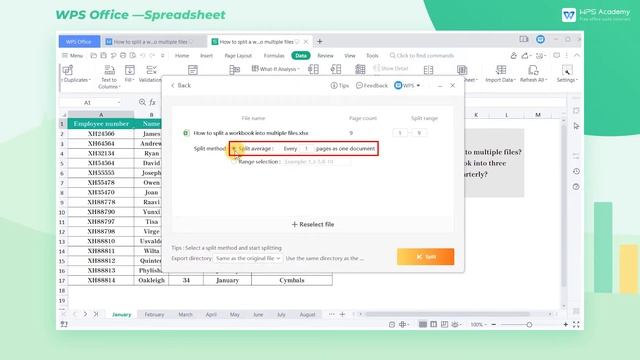 [WPS Academy] 2.7.1 Excel: How to split a workbook into multiple files смотреть онлайн