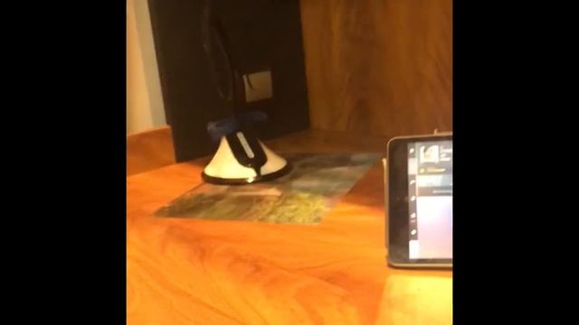 мое игровое место + тимспик ?? смотреть онлайн