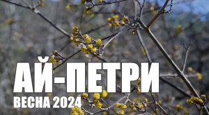 Весна на Ай-Петри. Крым 2024