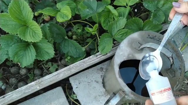 Хотите такую? смотреть онлайн