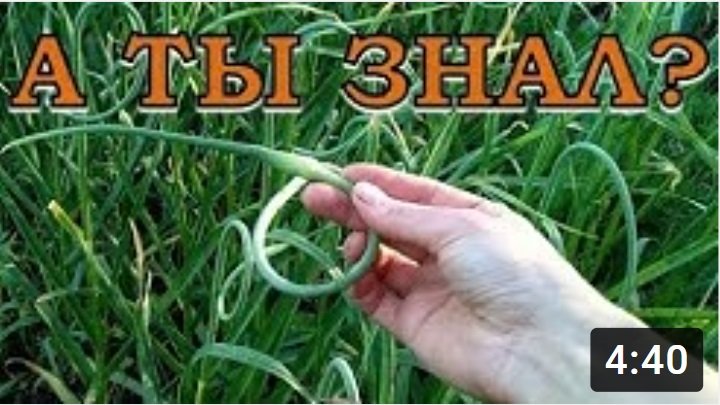 А ты знал?